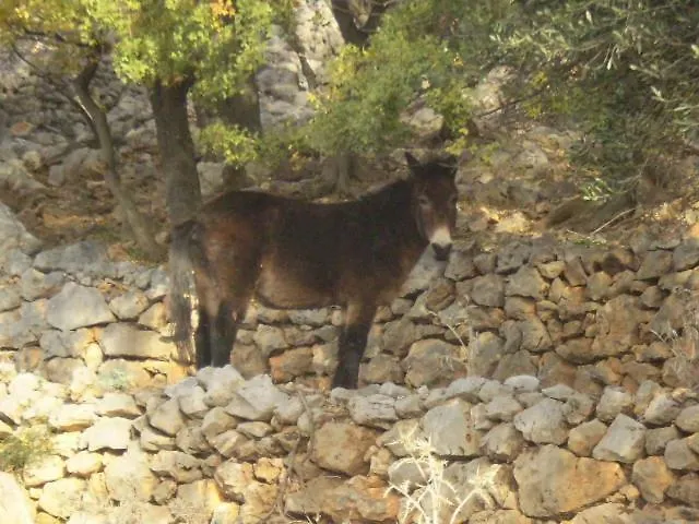 Apartmani Lucija1897 Starigrad Paklenica Appartamento